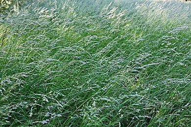 《暗黑4》开发者讨论开放世界：玩家既想要自由，也想被指路